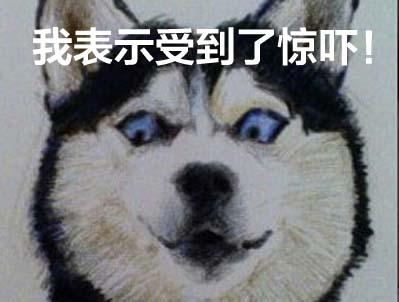 KAI 贝印  Nyammy 猫猫系列厨具