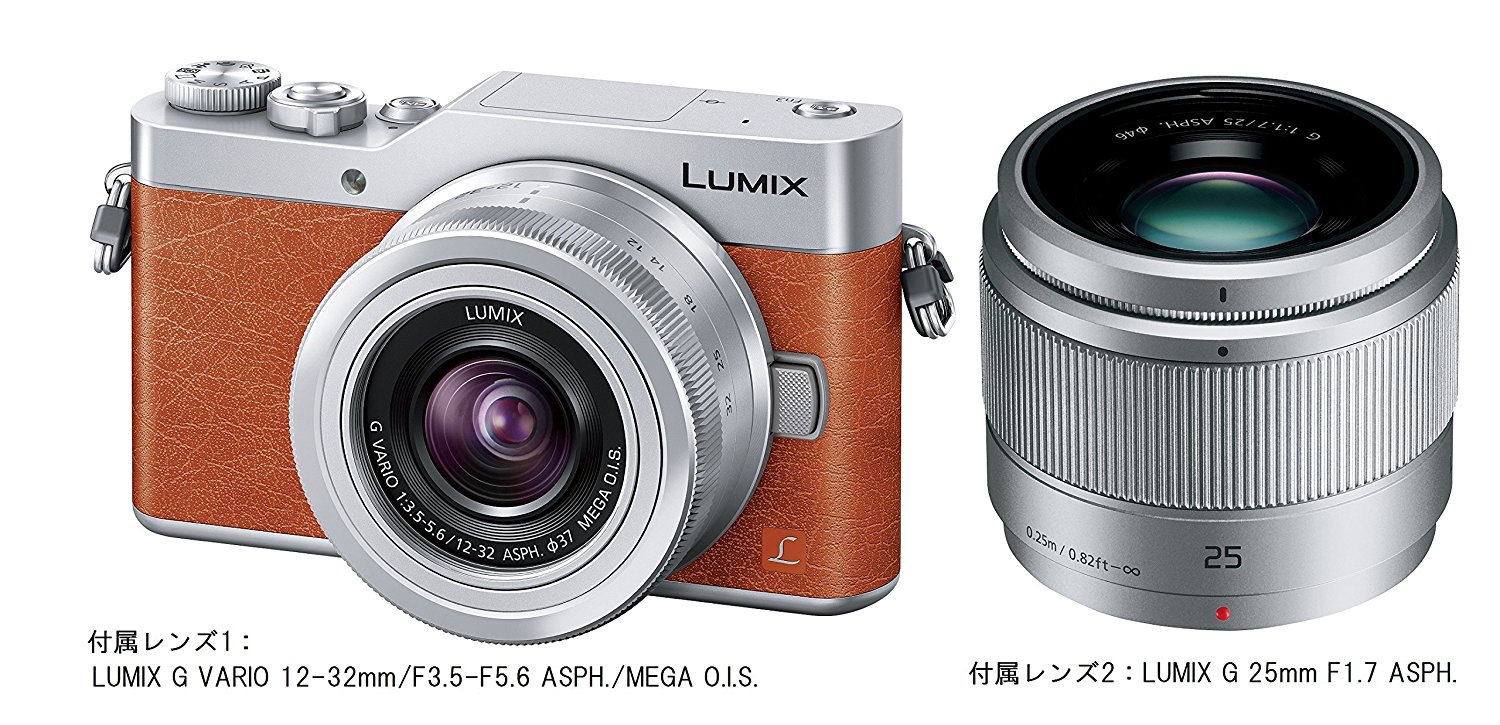Panasonic 松下 Lumix DC-GF9 无反相机 双镜头套装