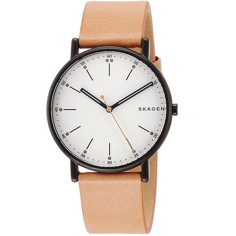 SKAGEN SIGNATUR SKW6352 时装男表