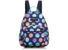 Jansport TDH6 小号双肩背包