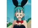 Mega House Dragon Ball Gals 布尔玛 兔女郎Ver. PVC制 涂装完成手办