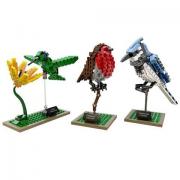 LEGO 乐高 21301 iDEAS系列 鸟类模型
