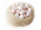 常吃鸽子蛋的惊人变化，长期吃鸽子蛋有什么好处