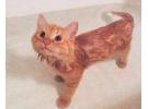 什么能代替猫沐浴露，用什么代替猫沐浴露