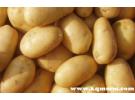 马铃薯100g营养成分表，马铃薯的营养成分