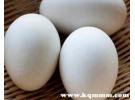 早上吃水煮鹅蛋的功效，每天吃一个煮鹅蛋有什么好处