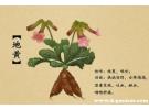 生地与熟地的功效与作用区别，生地降火还是熟地降火