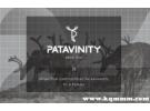 patavinity是什么牌子，patavinity什么档次