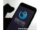 为什么淘宝不可以花呗付款了，店家开了花呗付款但是用不了是怎么回事