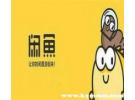闲鱼网上怎么卖闲置东西，闲鱼怎么发布同城闲置