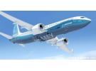 美国波音737飞机为何被全球停飞？波音737为什么停飞