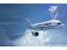 中国49个航空公司排名，中国航空公司排名前十