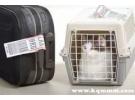 猫咪飞机托运很痛苦吗？猫咪坐飞机死亡率高吗