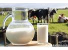 中国最好的纯牛奶排名，口碑最好的国产纯牛奶