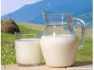 为什么中医建议不要喝牛奶？牛奶就是最大的骗局极大危害