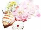 夏日香调 让你比玫瑰更芬芳