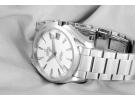 OMEGA 欧米茄 Seamaster 系列 Aqua Terra 231.10.39.21.001 男款机械腕表