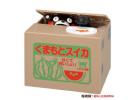 Kumamon 熊本熊 电动储钱罐