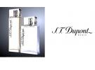【DUPONT 都彭】品牌介绍
