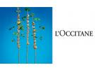【L'OCCITANE 欧舒丹】品牌介绍