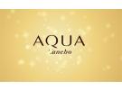 【AQUA 雅呵雅】品牌介绍