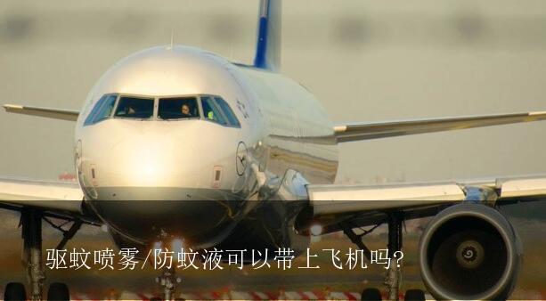 驱蚊喷雾能带上飞机吗，防蚊液可以带上飞机吗- 海淘族