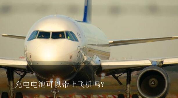 充电电池可以带上飞机吗 充电电池能带上飞机吗 海淘族