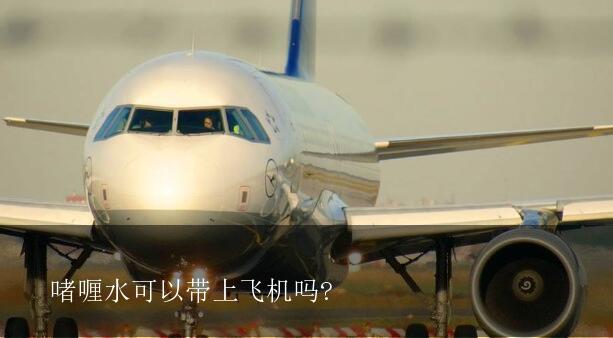 啫喱水可以带上飞机吗 0ml啫喱水可以带上飞机吗 海淘族