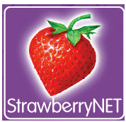 草莓网购物攻略:购物流程介绍