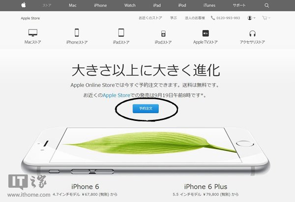 2015年最新日本苹果官网海淘攻略:海淘iphone6为例