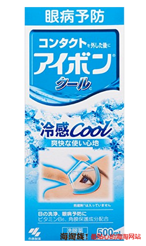  KOBAYASHI 小林制药 角膜保护洗眼液 500ml 