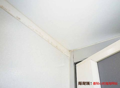 凑单品:COGIT BIO 浴室除霉减湿去味贴